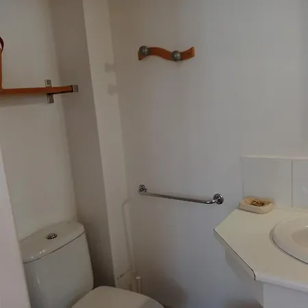 L Olan 15p Emplacement Exceptionnel Grand Terrain * Les Deux Alpes