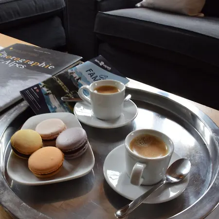 L Olan 15p Emplacement Exceptionnel Grand Terrain Les Deux Alpes