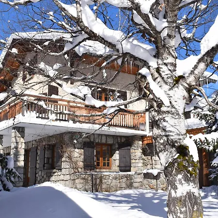 L Olan 15p Emplacement Exceptionnel Grand Terrain * Les Deux Alpes