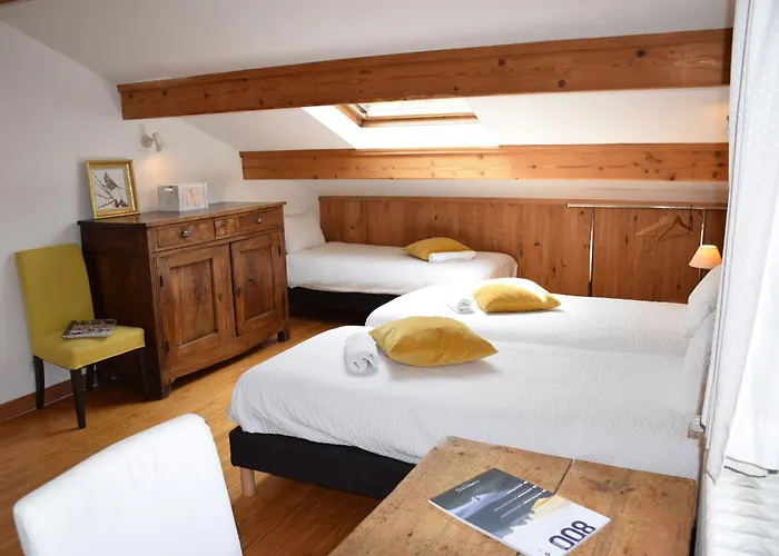 L Olan 15p Emplacement Exceptionnel Grand Terrain