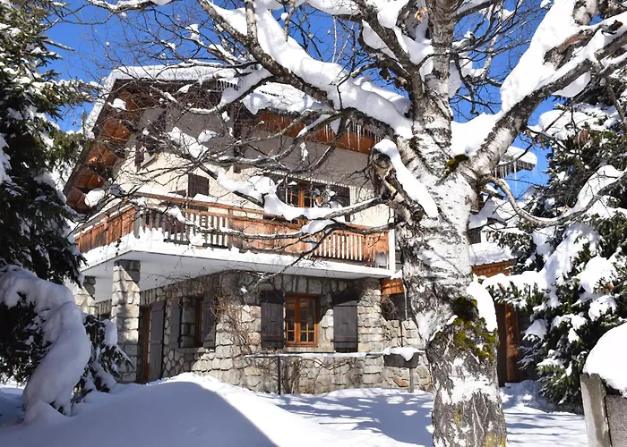 L Olan 15p Emplacement Exceptionnel Grand Terrain * Les Deux Alpes